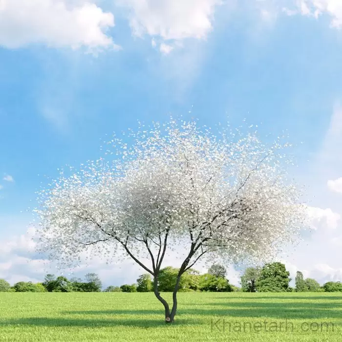 مدل سه بعدی درخت گل و گیاه